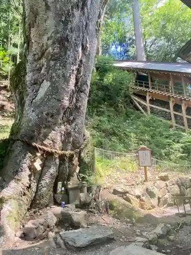 丹生川上神社（下社）(奈良県)