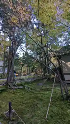 法然院(京都府)