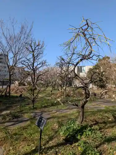 布多天神社(東京都)