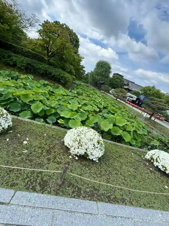 東寺(教王護国寺)(京都府)