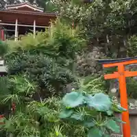 妙圓寺の自然