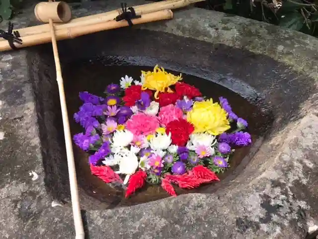 真言宗 善通寺派 薬王寺の手水舎