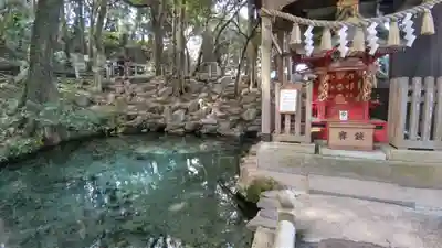 泉神社(茨城県)