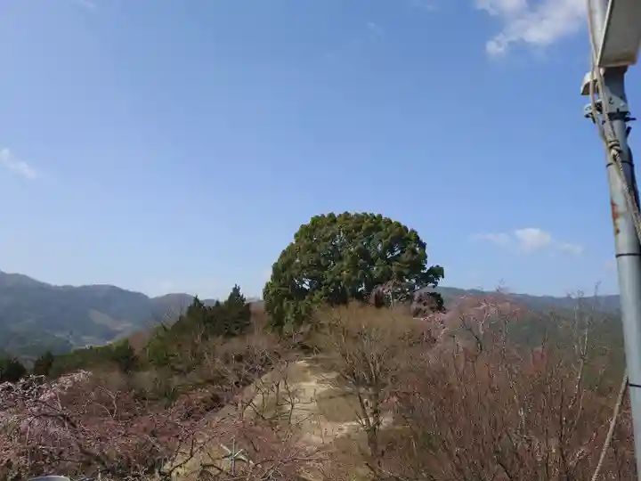 サムハラ神社 奥の宮(岡山県)