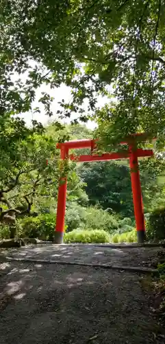 天開稲荷社の鳥居