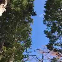 高司神社〜むすびの神の鎮まる社〜の自然