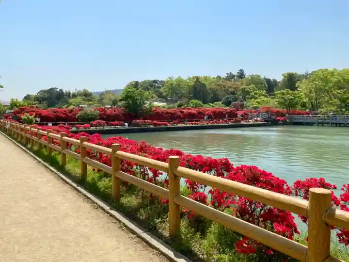 長岡天満宮の庭園