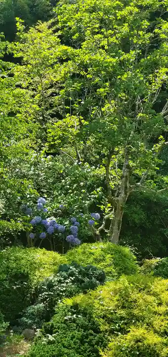 久安寺(大阪府)