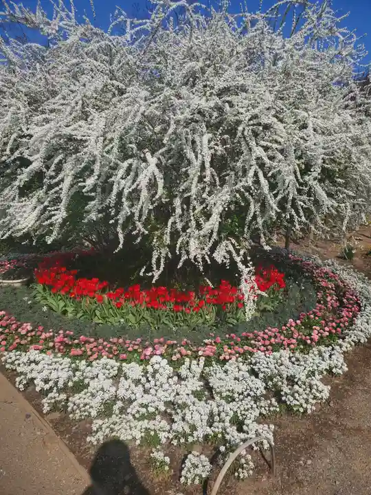 寺岡山元三大師の自然
