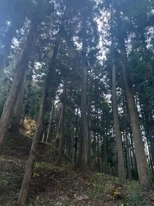 大宮温泉神社(栃木県)