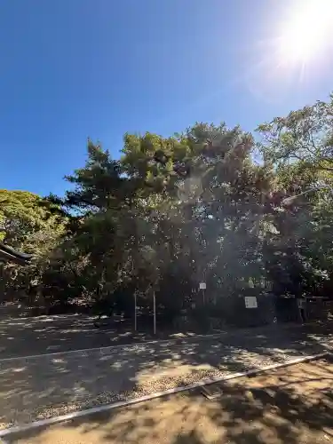 白羽神社(静岡県)