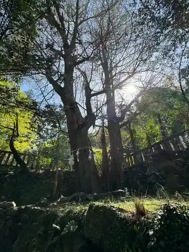 武蔵二宮 金鑚神社(埼玉県)