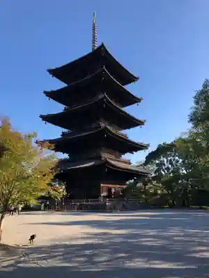 東寺(教王護国寺)の塔
