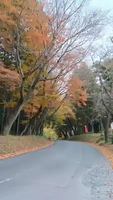雨引千勝神社(茨城県)