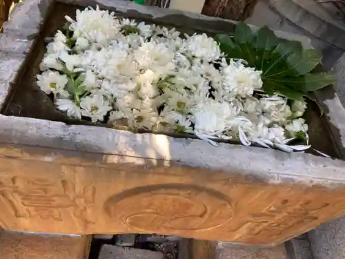 菊名神社の手水舎