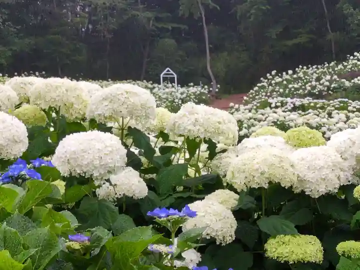 陽林寺(福島県)