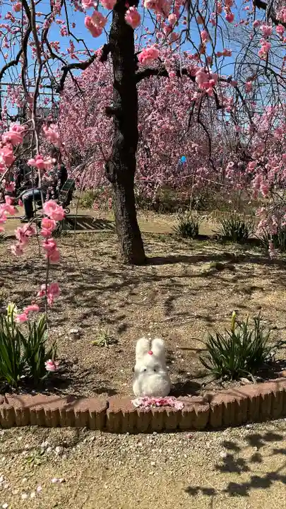 屯倉神社(大阪府)