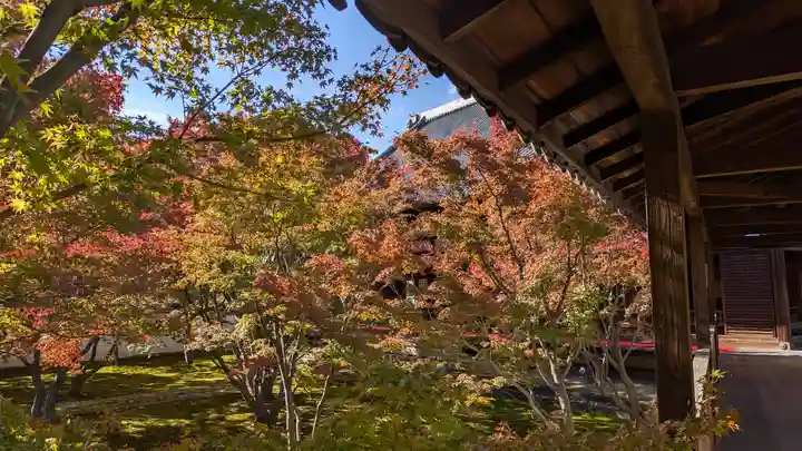 妙覺寺(妙覚寺)(京都府)