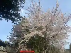 武甕槌神社の自然