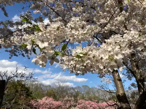 北海道神宮の庭園