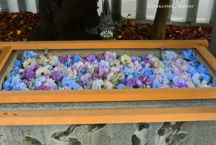 伊勢原大神宮(神奈川県)