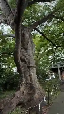 愛宕神社(福島県)
