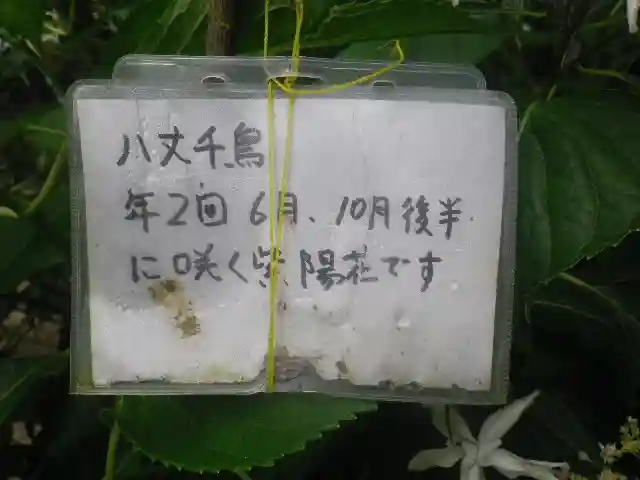 御霊神社の自然