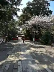 息栖神社(茨城県)