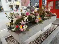 生田神社の{uncategorized: "未分類", other: "その他", undefined: "問題あり", building: "その他建物", grave: "お墓", sacred_gate: "鳥居", guardian: "狛犬", statue: "像", buddha: "仏像", history: "歴史", nature: "自然", garden: "庭園", animal: "動物", pagoda: "塔", temizu: "手水舎", mountain_gate: "山門・神門", sanctuary: "本殿・本堂", subordinate: "末社・摂社", art: "芸術", scenery: "景色", jizo: "地蔵", ema: "絵馬", goshuin: "御朱印", omikuji: "おみくじ", items: "授与品その他", amulet: "お守り", goshuincho: "御朱印帳", eats: "食事", festival: "お祭り", votive_dance: "神楽", shichigosan: "七五三参", wedding: "結婚式", experience: "体験その他", initially: "初詣", around: "周辺", anti_infection: "感染症対策"}