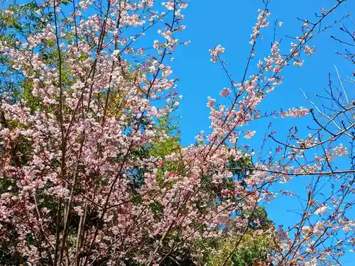 大海神社（住吉大社摂社）(大阪府)