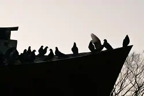 糸碕神社(広島県)