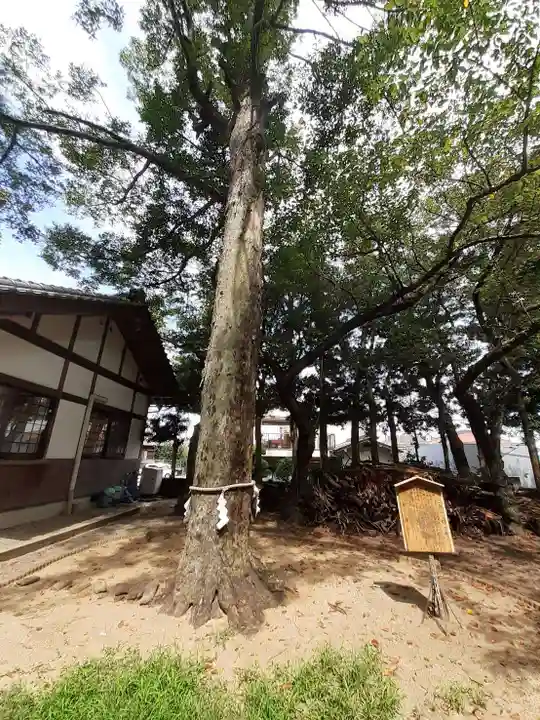 濱宮(和歌山県)