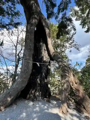 上野総社神社(群馬県)