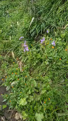 荏柄八幡社(東京都)