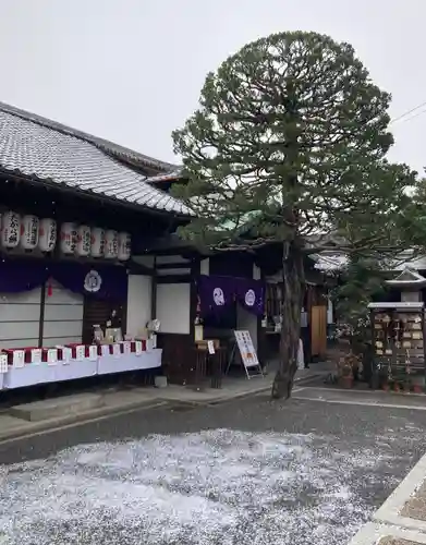 元祇園梛神社・隼神社(京都府)