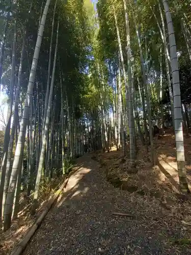 高台寺（高台寿聖禅寺・高臺寺）の周辺