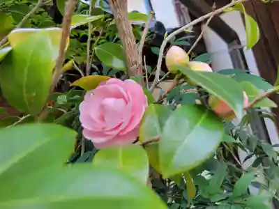 姫路神社(兵庫県)