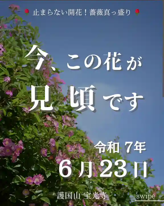 宝光寺(北海道)