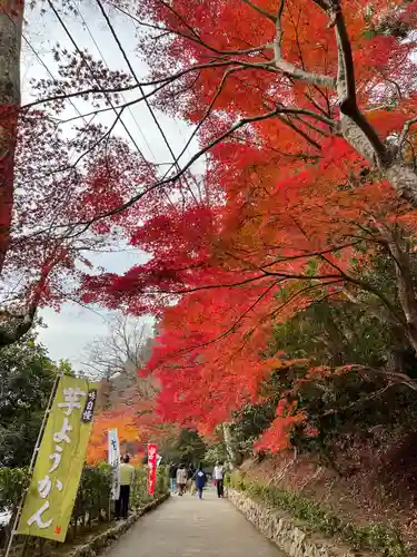 永源寺(滋賀県)