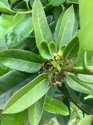 玉林寺（小牧観音）(愛知県)