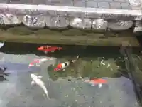 西勝寺(三重県)