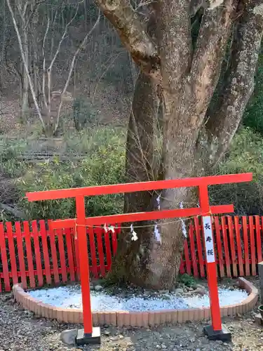 出雲神社の自然