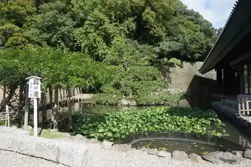 出雲大社の庭園