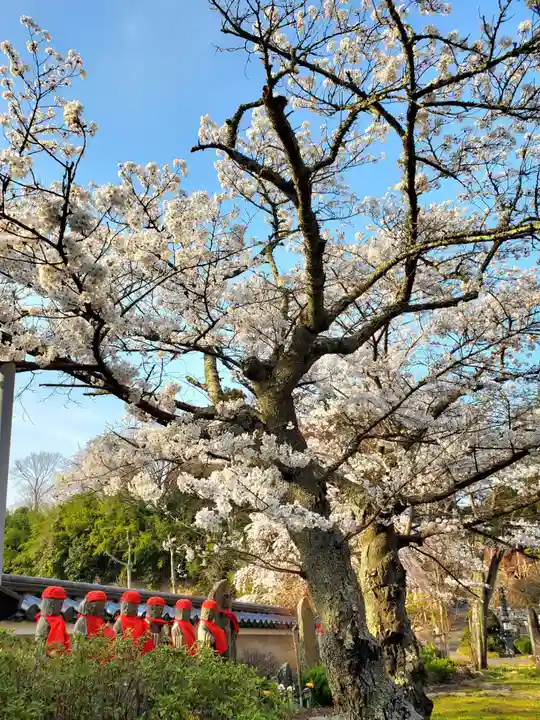 福聚寺(福島県)