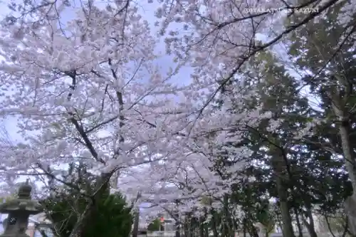 冨士御室浅間神社(山梨県)