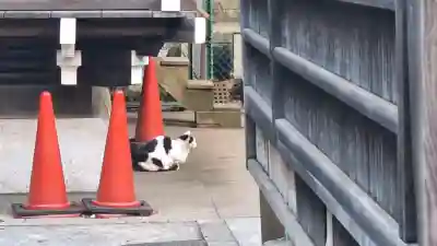 渋谷氷川神社の{uncategorized: "未分類", other: "その他", undefined: "問題あり", building: "その他建物", grave: "お墓", sacred_gate: "鳥居", guardian: "狛犬", statue: "像", buddha: "仏像", history: "歴史", nature: "自然", garden: "庭園", animal: "動物", pagoda: "塔", temizu: "手水舎", mountain_gate: "山門・神門", sanctuary: "本殿・本堂", subordinate: "末社・摂社", art: "芸術", scenery: "景色", jizo: "地蔵", ema: "絵馬", goshuin: "御朱印", omikuji: "おみくじ", items: "授与品その他", amulet: "お守り", goshuincho: "御朱印帳", eats: "食事", festival: "お祭り", votive_dance: "神楽", shichigosan: "七五三参", wedding: "結婚式", experience: "体験その他", initially: "初詣", around: "周辺", anti_infection: "感染症対策"}