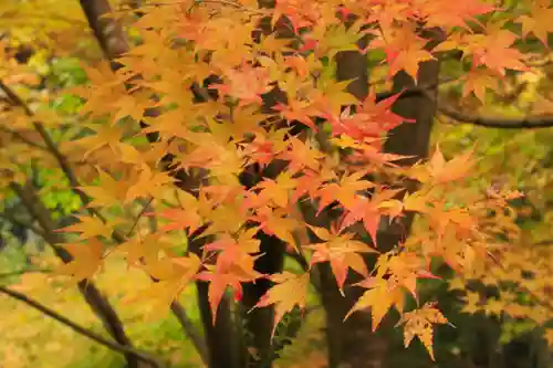 常照寺(京都府)