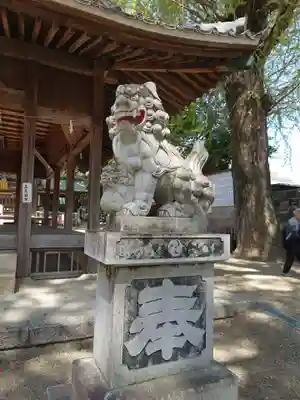 挙母神社の狛犬