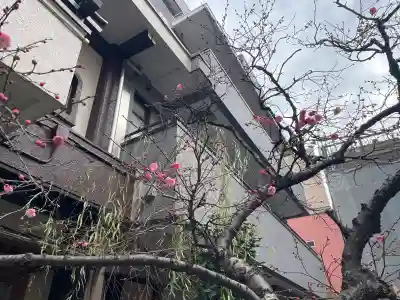 宗慶寺(東京都)