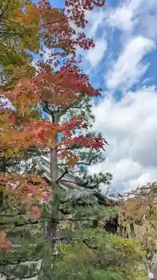 妙満寺(京都府)